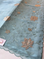 Chanderi Organza blend Saree / AWS81