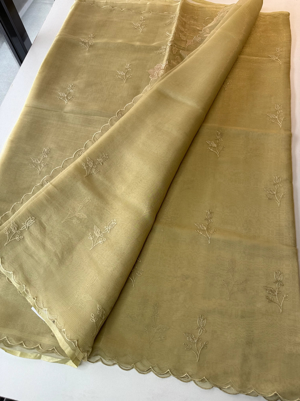 Chanderi Organza blend Saree / AWS81