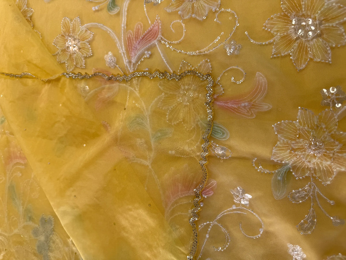 Soft organza saree/LK88
