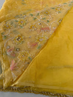Soft organza saree/LK88