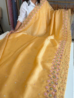 HW161