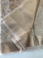 Tissue saree/ 1525