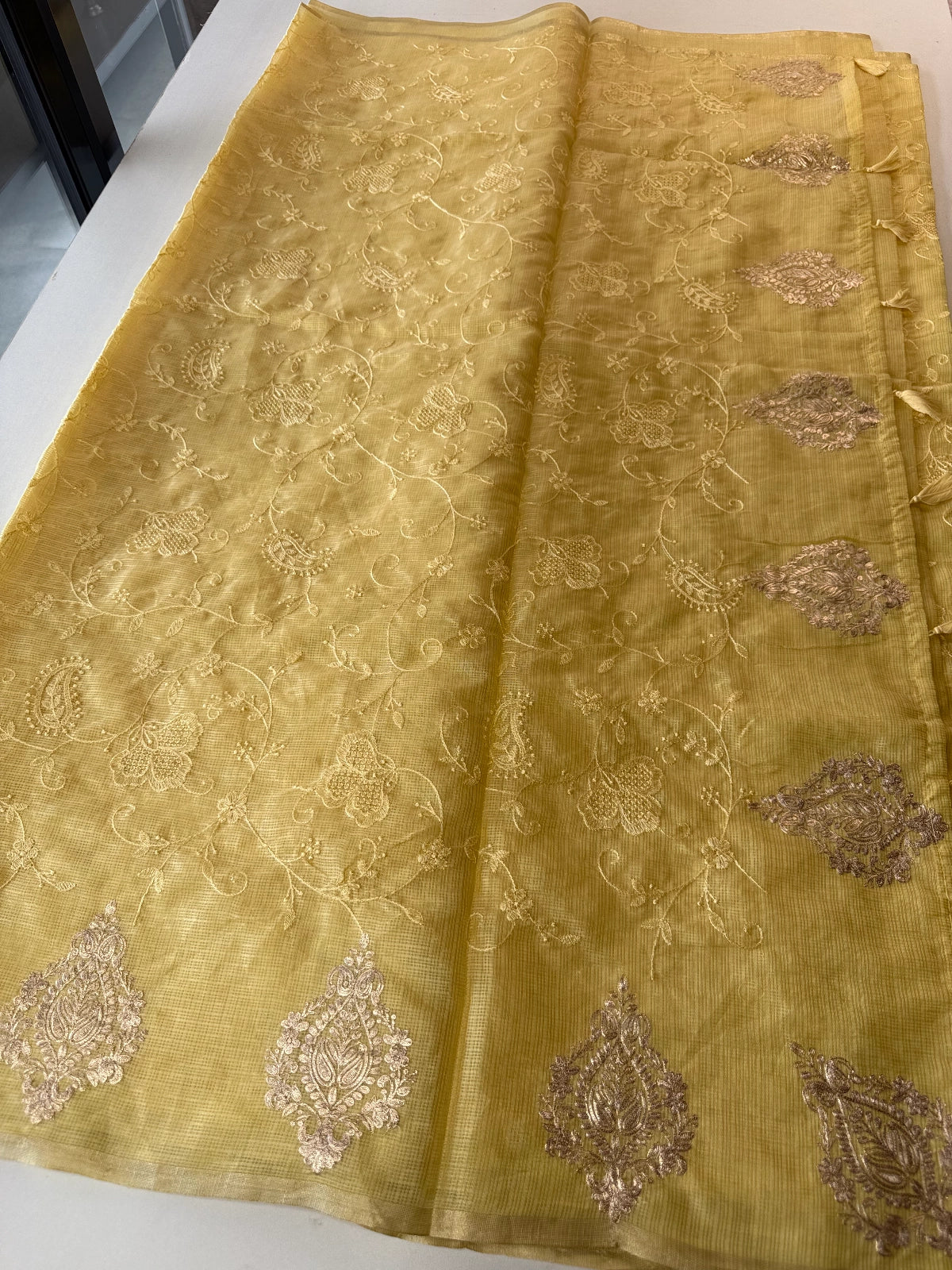 Silky kotta / ACN02
