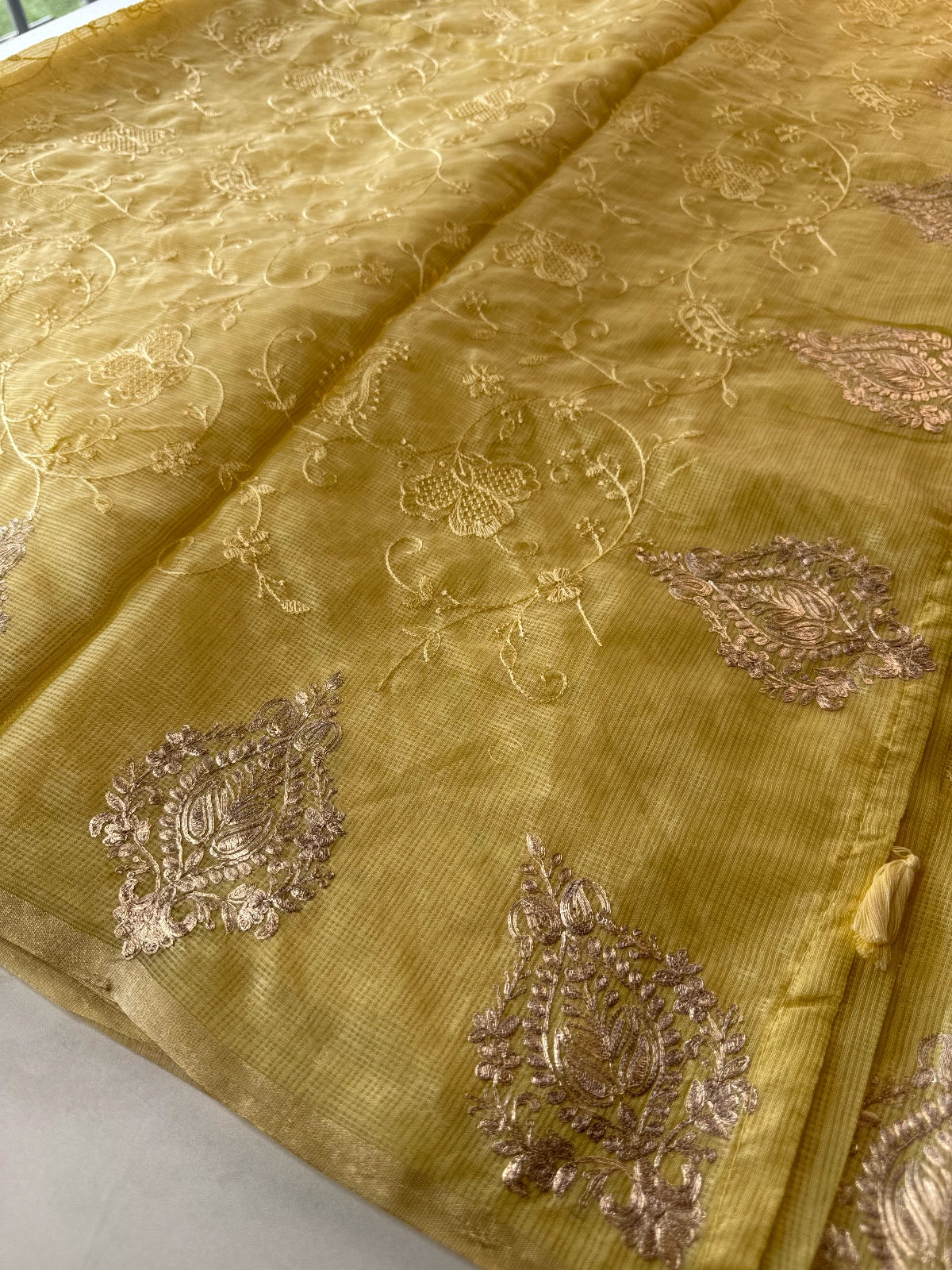 Silky kotta / ACN02