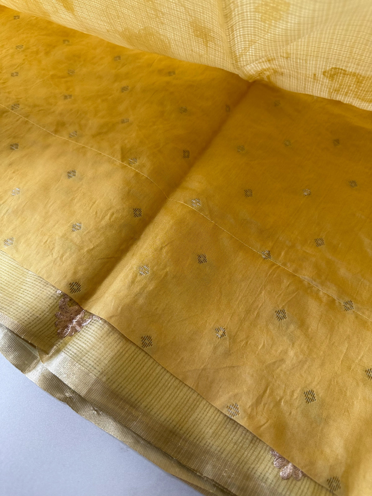 Silky kotta / ACN02