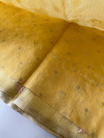 Silky kotta / ACN02