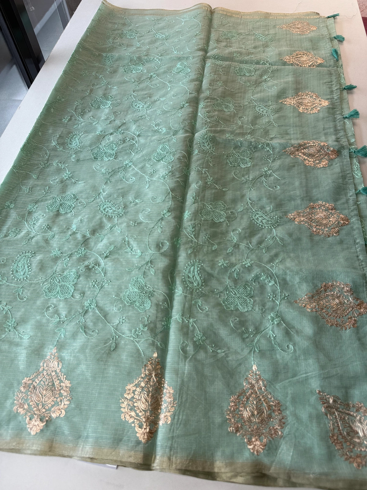 Silky kotta / ACN02