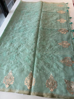 Silky kotta / ACN02