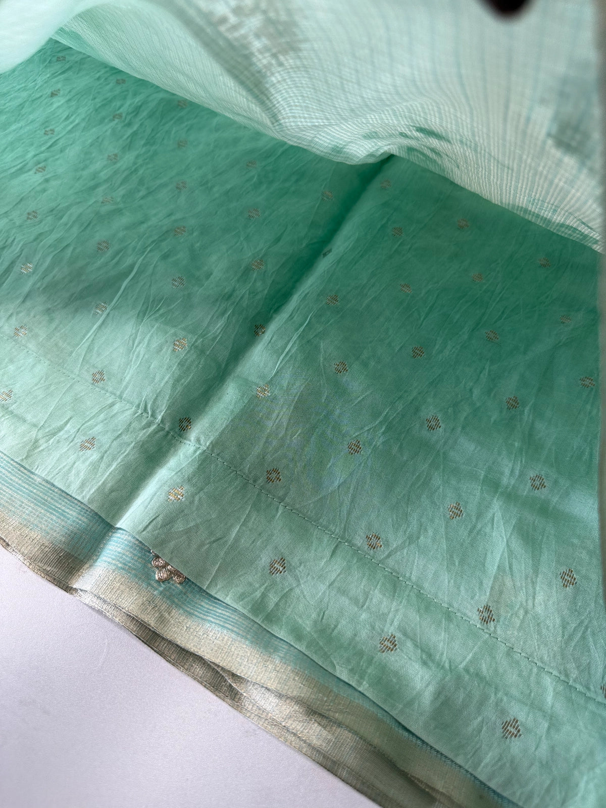 Silky kotta / ACN02