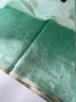 Silky kotta / ACN02