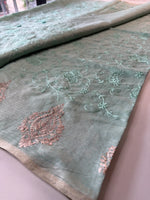 Silky kotta / ACN02