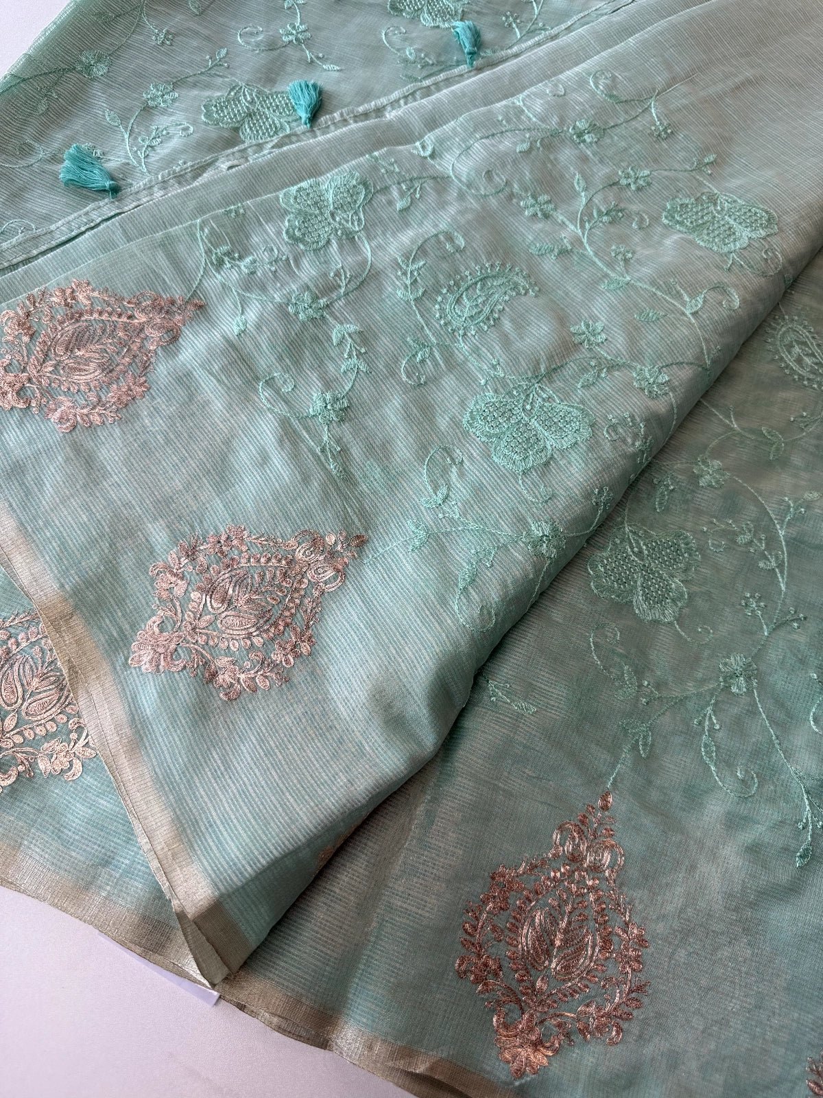 Silky kotta / ACN02