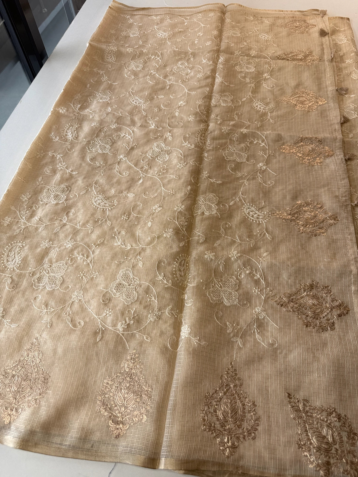 Silky kotta / ACN02