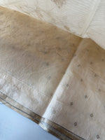 Silky kotta / ACN02