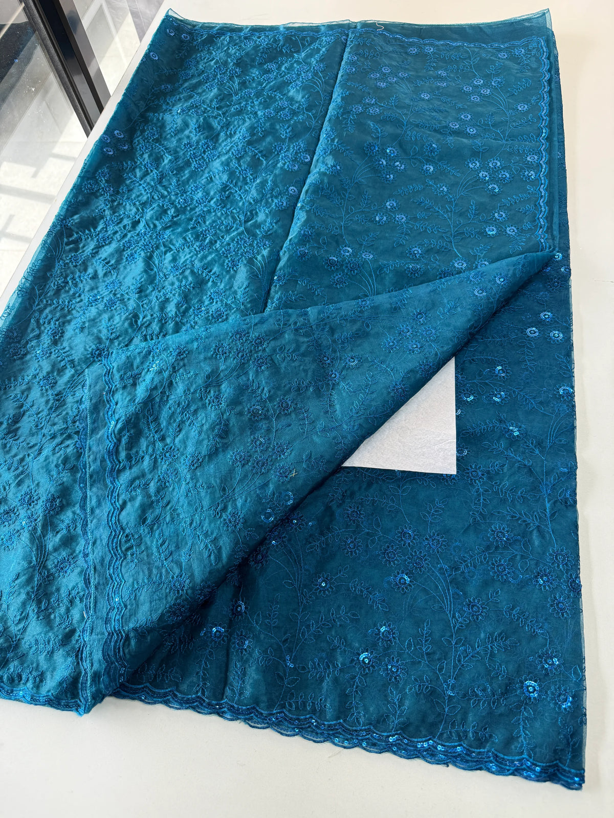Soft Organza saree /CW239