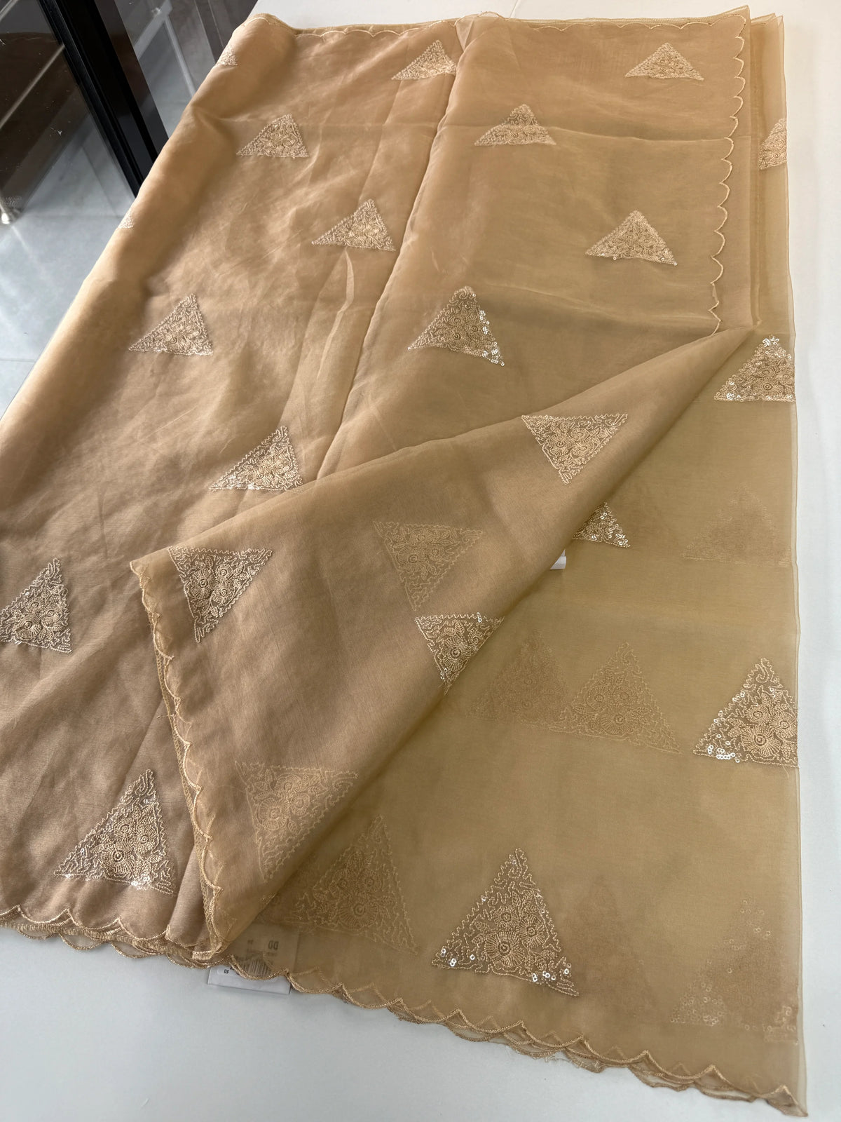 Soft organza saree/ CW375