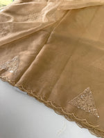 Soft organza saree/ CW375