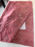 Soft organza saree/ CW375