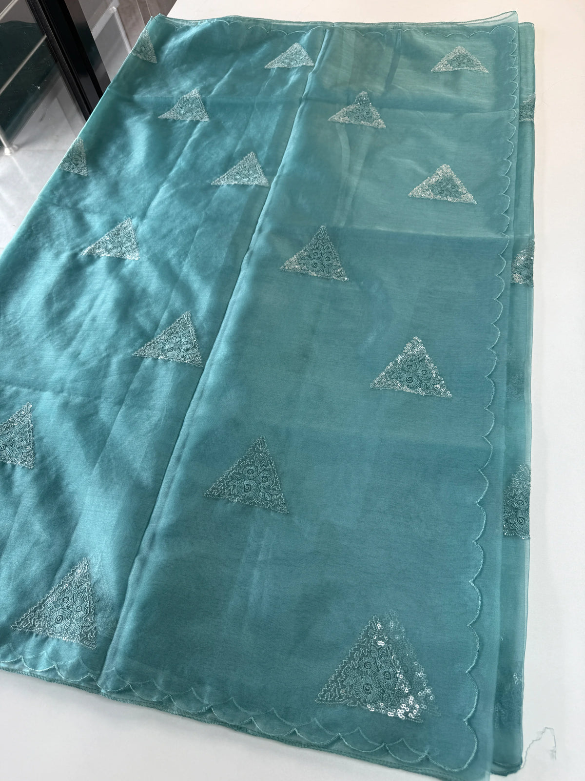 Soft organza saree/ CW375