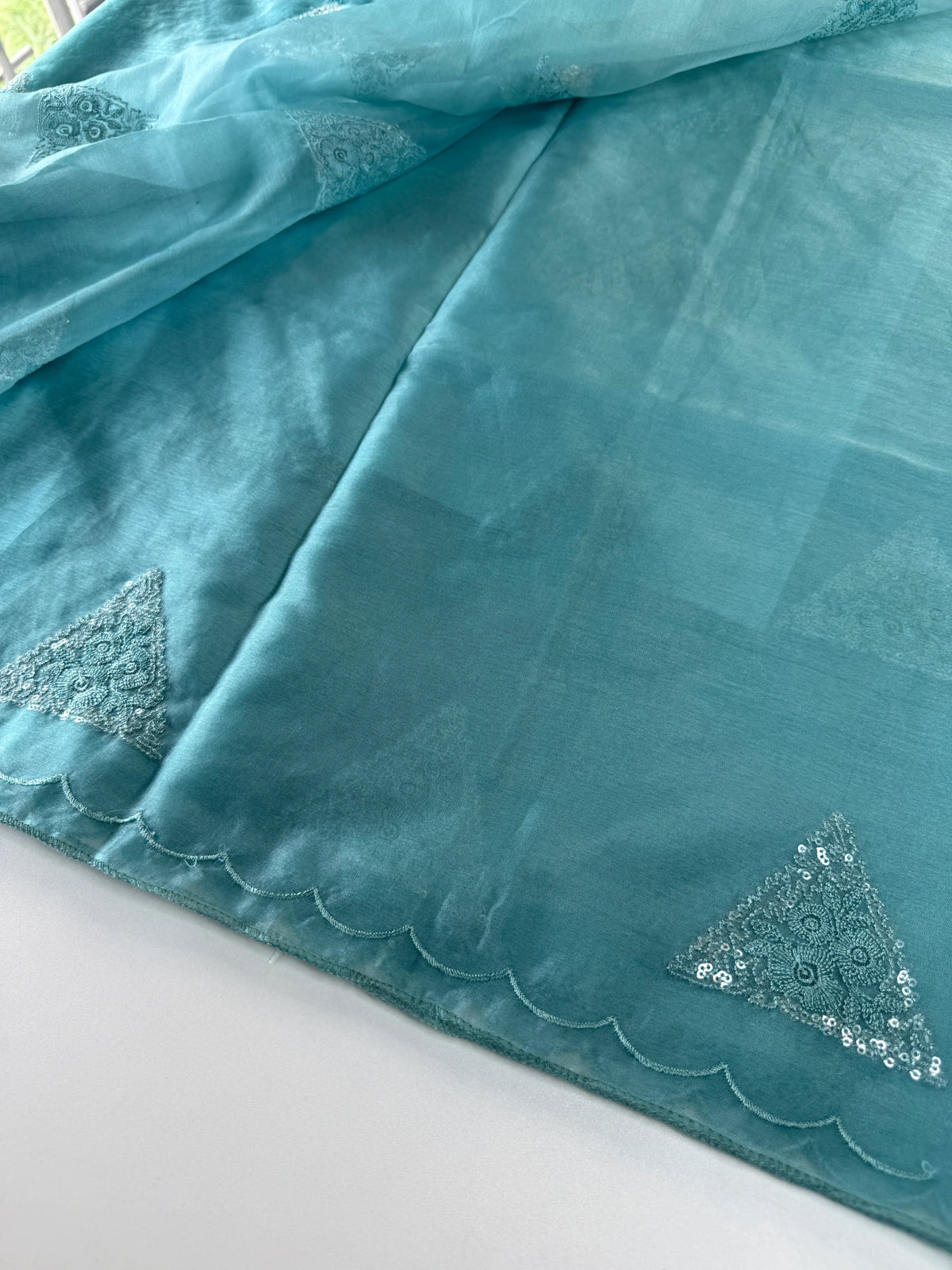 Soft organza saree/ CW375