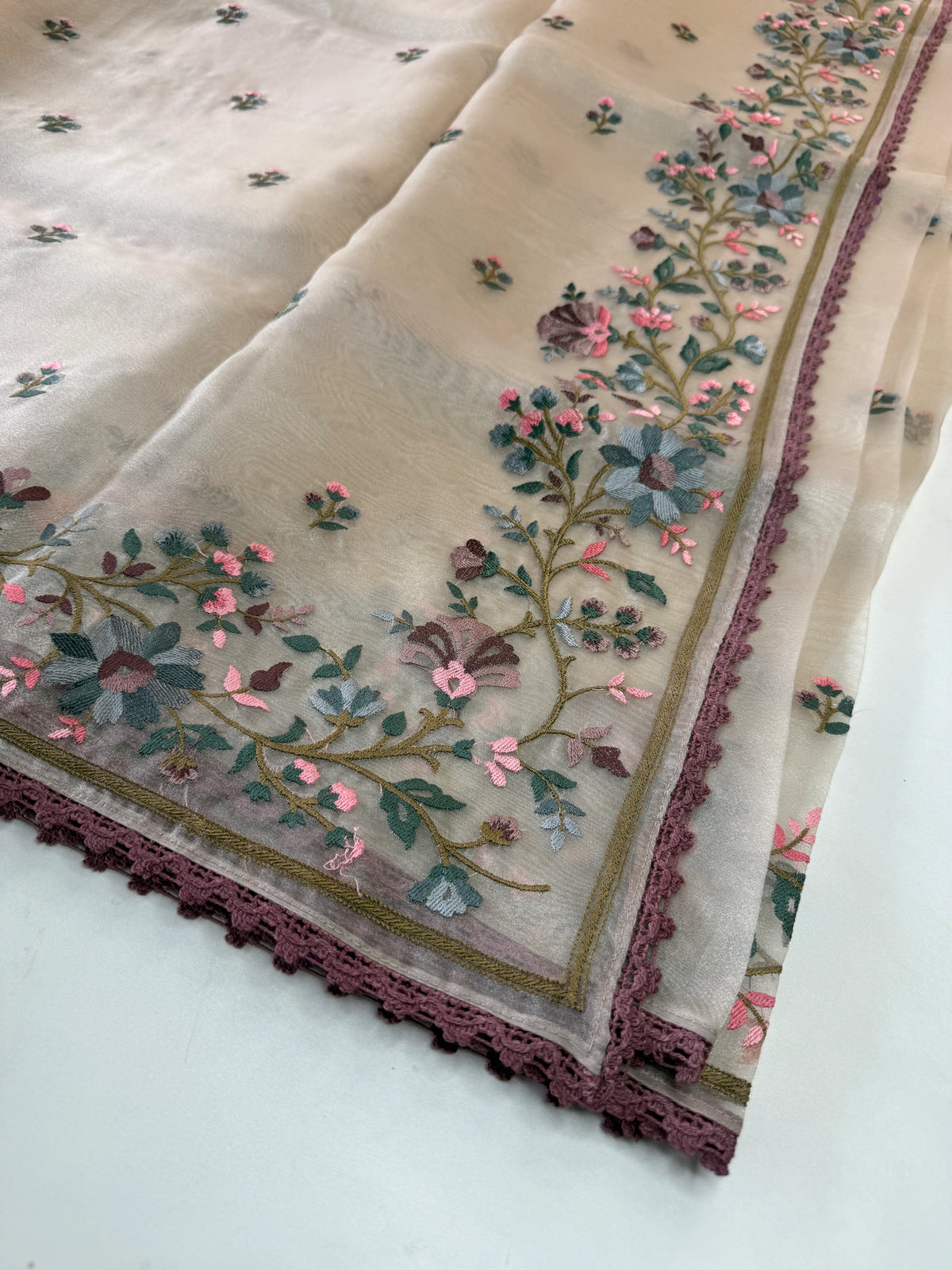 Glass Organza Saree/ 373A