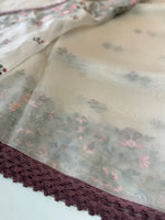 Glass Organza Saree/ 373A