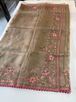 Glass Organza Saree/ 373A
