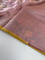 Glass Organza Saree/ 373A