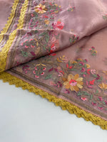 Glass Organza Saree/ 373A
