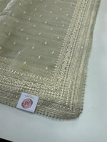 Organza Saree(Pre Booking )/ BL281