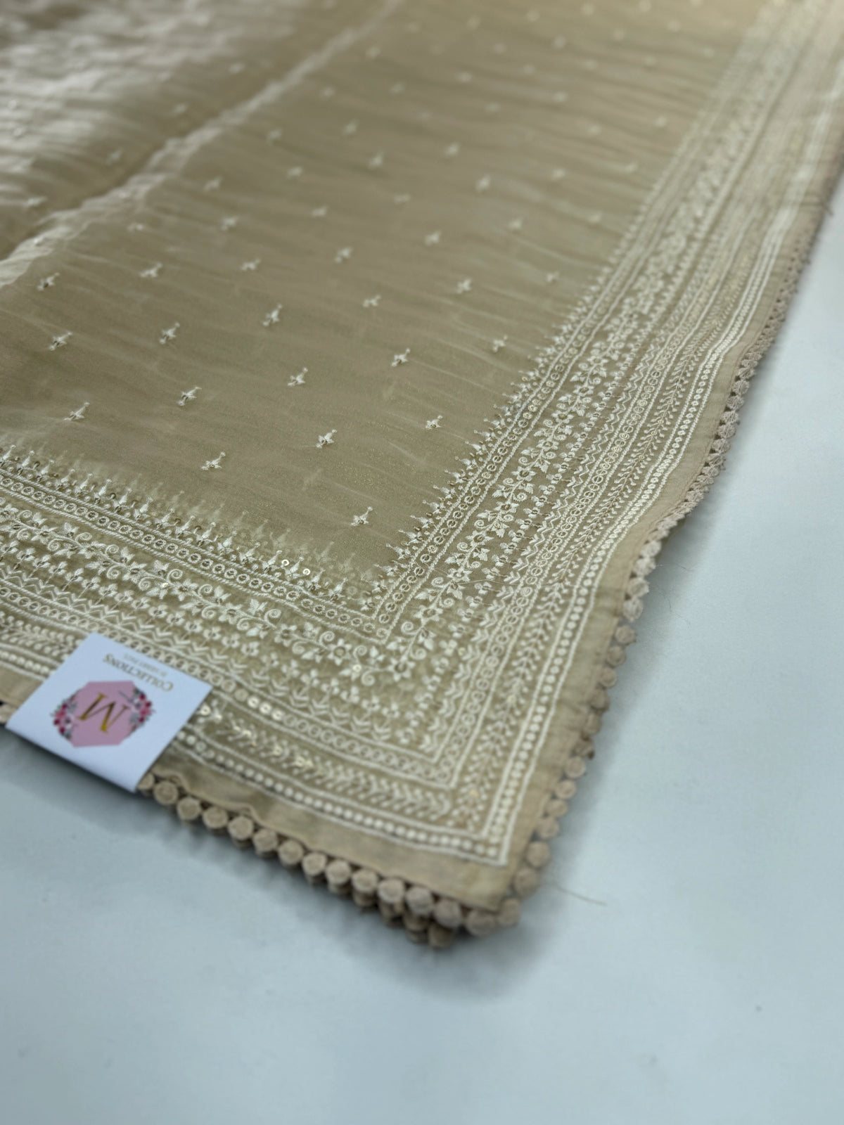 Organza Saree(Pre Booking )/ BL281