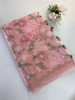 Organza Saree/ 1068