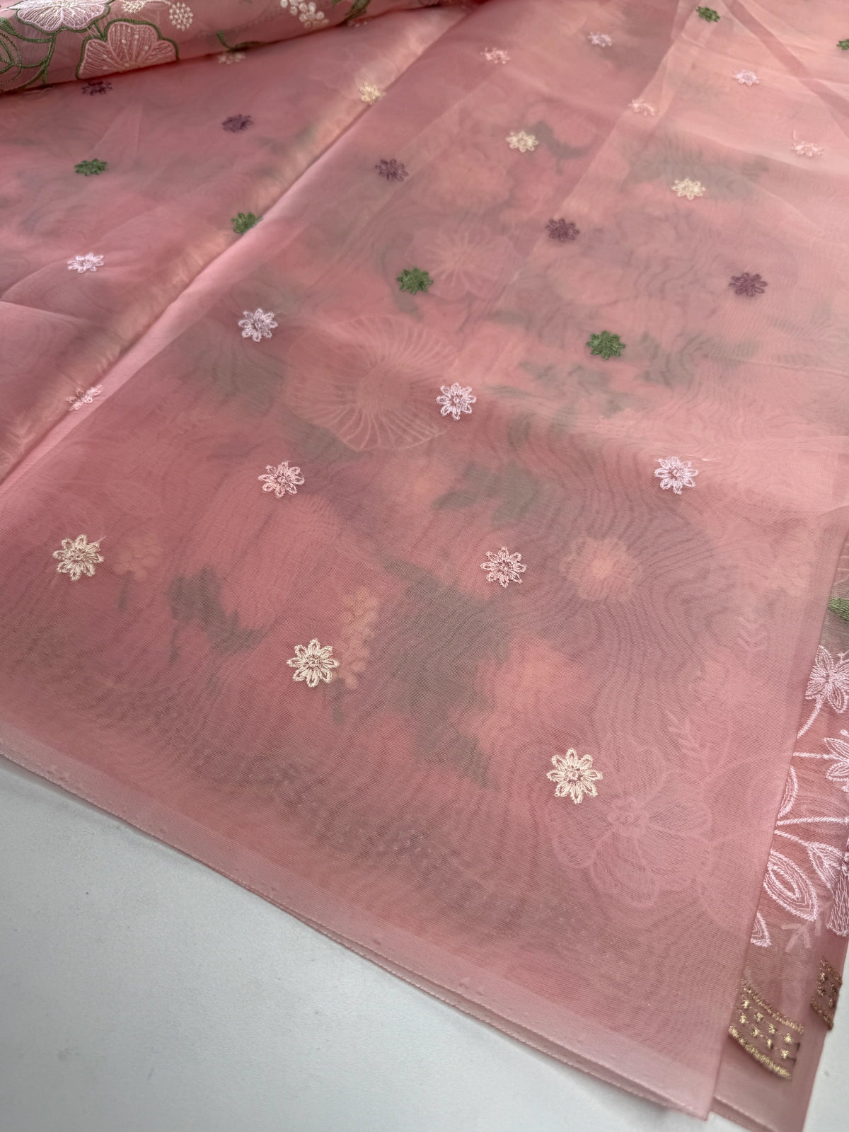 Organza Saree/ 1068
