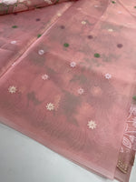 Organza Saree/ 1068