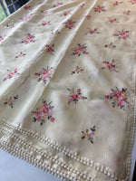 Silky kotta /13279