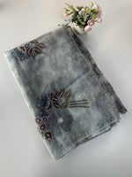 Organza Saree/ DG286