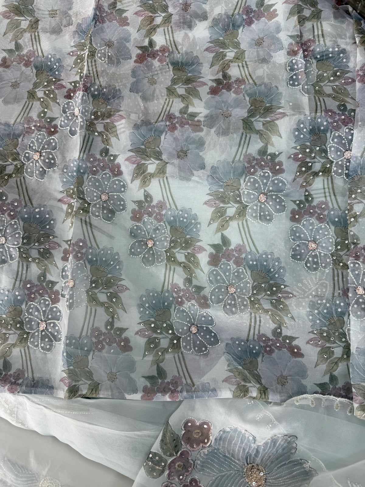 Organza Saree/ DG286