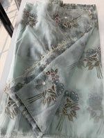 Organza Saree/ DG286