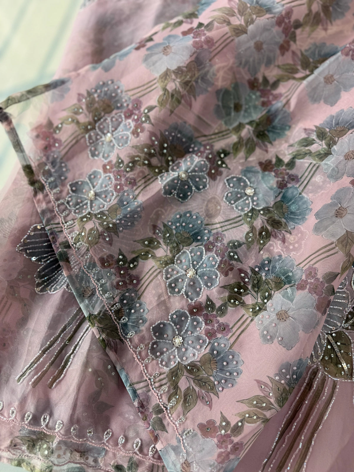 Organza Saree/ DG286