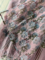 Organza Saree/ DG286