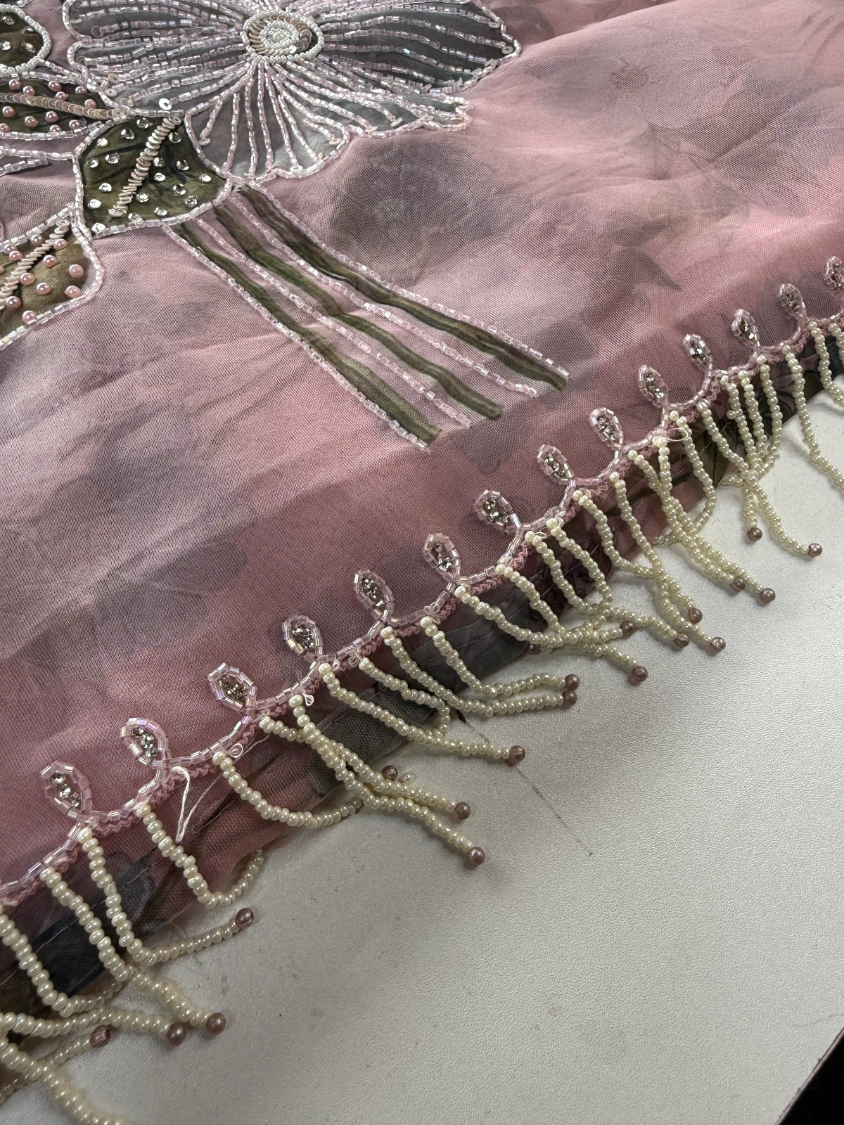 Organza Saree/ DG286