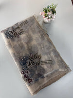 Organza Saree/ DG286