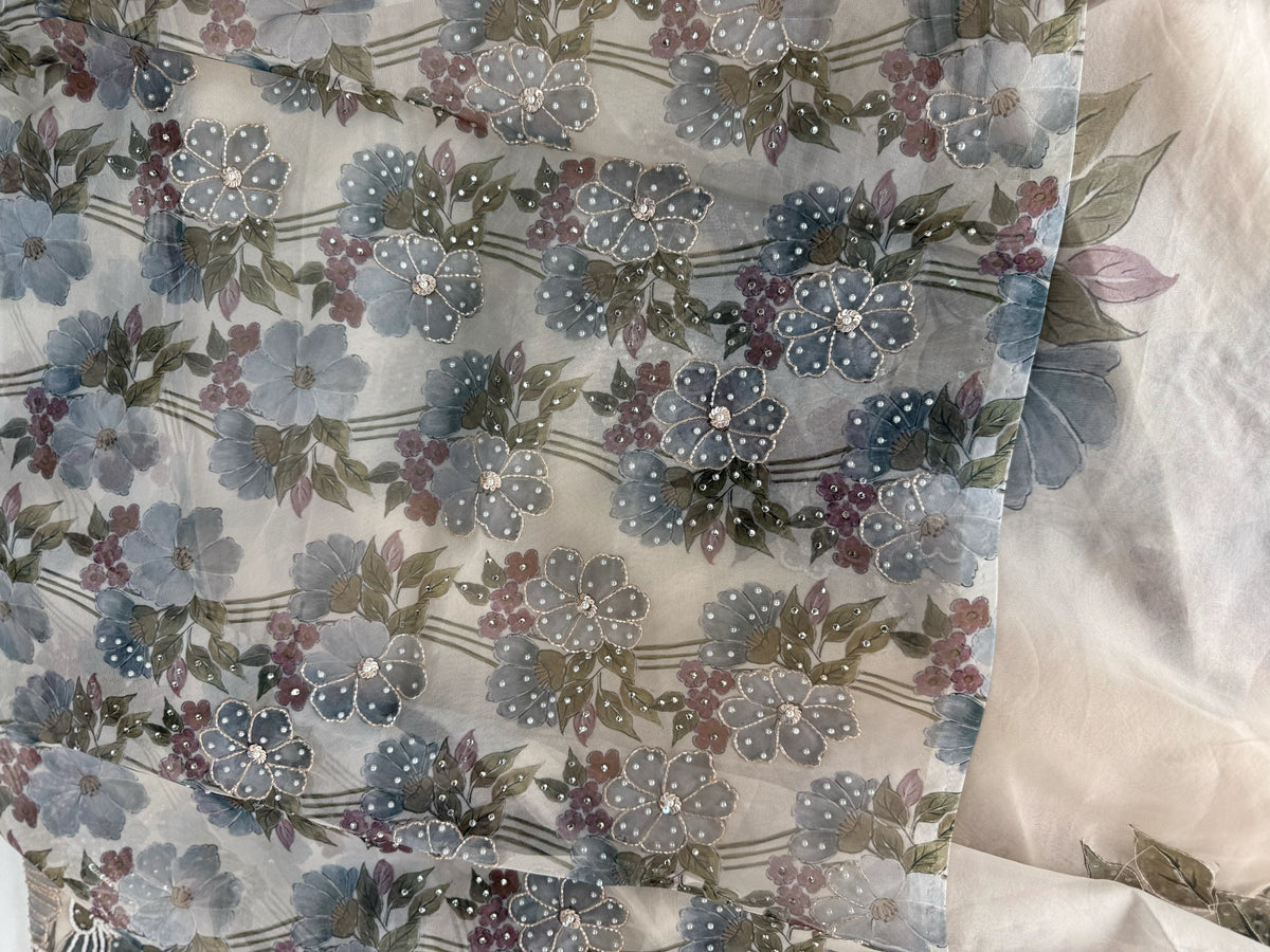 Organza Saree/ DG286