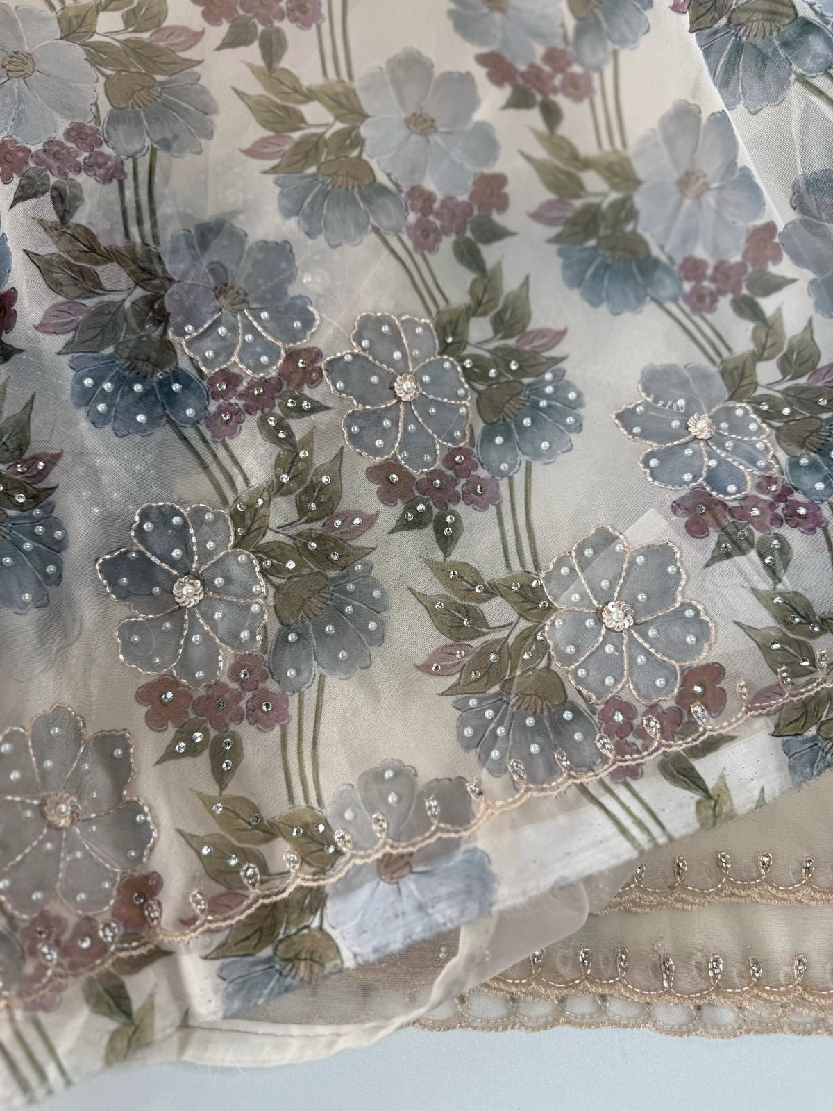 Organza Saree/ DG286