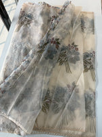Organza Saree/ DG286