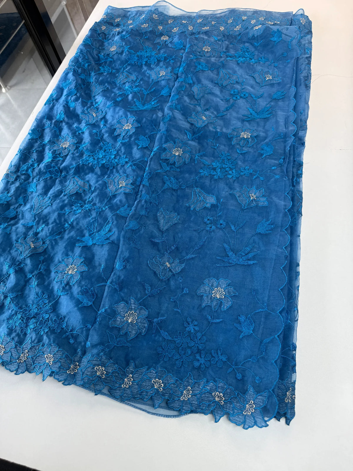 Soft organza saree/ CW859