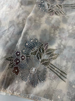 Organza Saree/ DG286