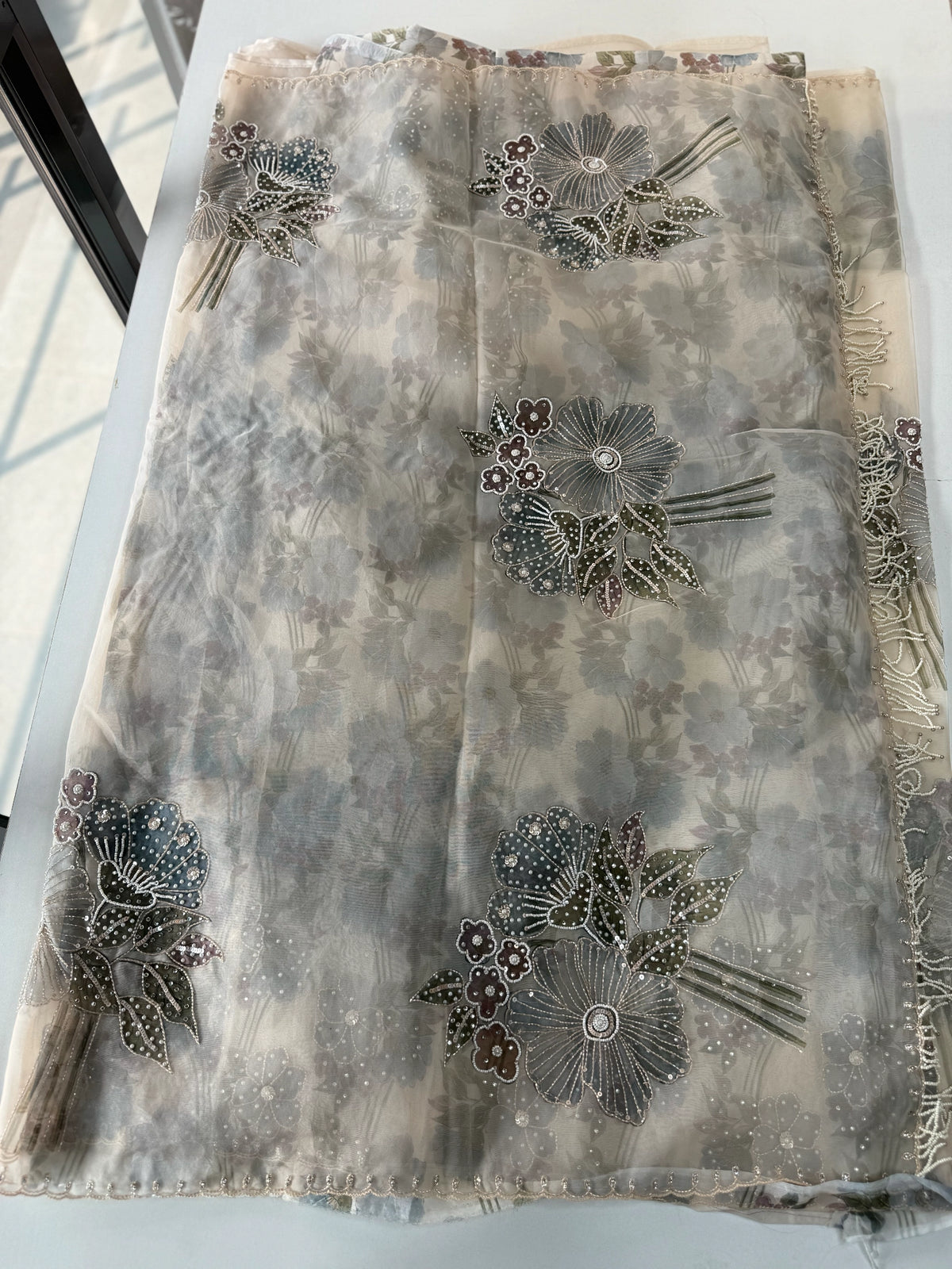 Organza Saree/ DG286