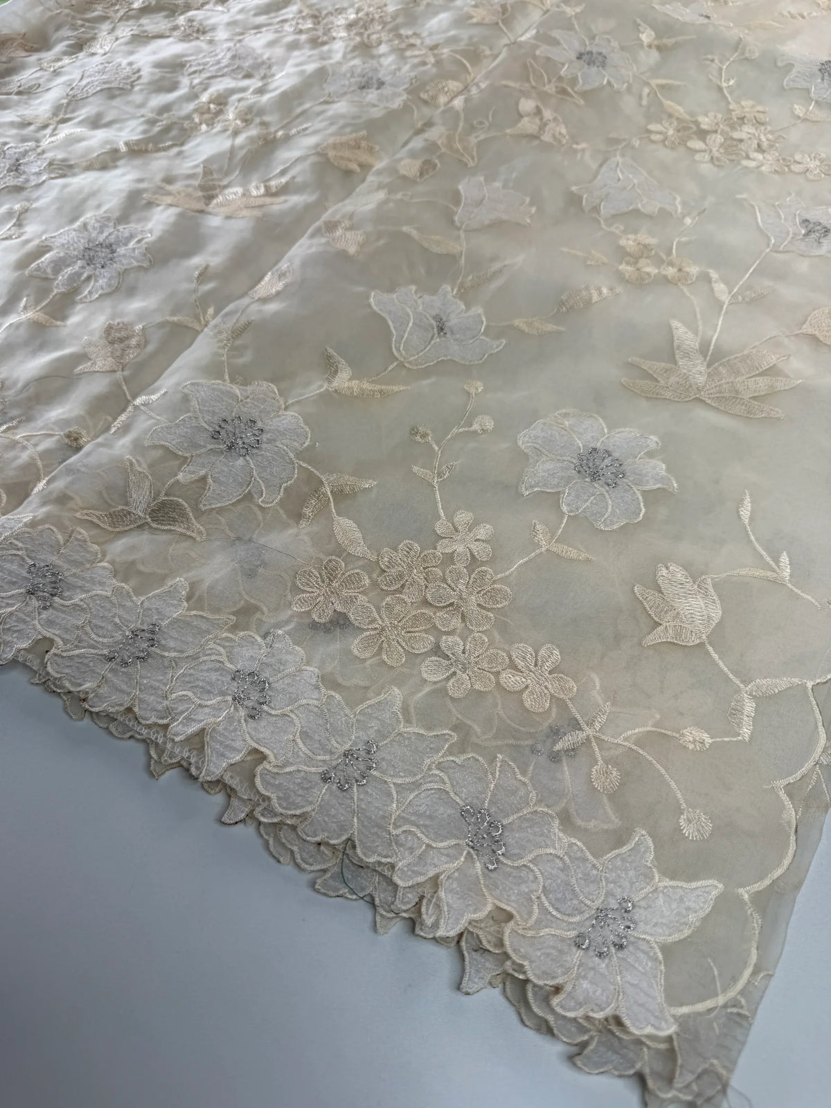 Soft organza saree/ CW859