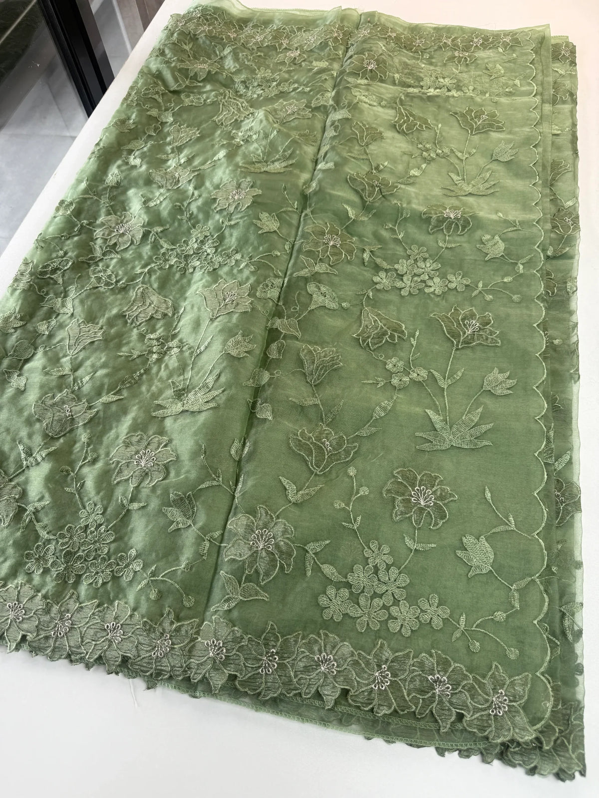 Soft organza saree/ CW859